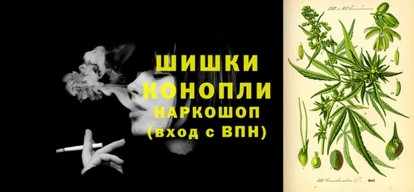 стаф Балахна