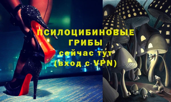 стаф Балахна