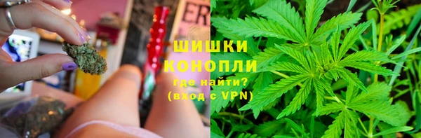 ГАЛЛЮЦИНОГЕННЫЕ ГРИБЫ Балабаново